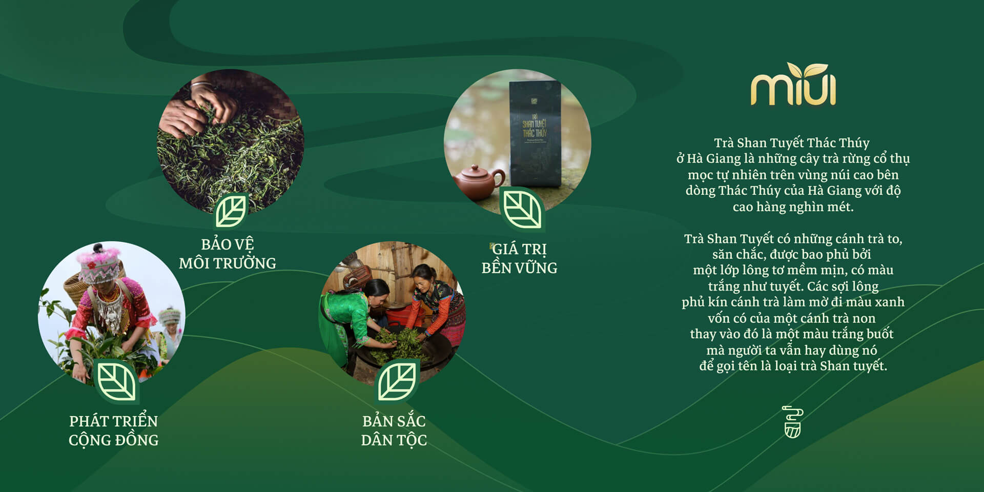 Banner trà
