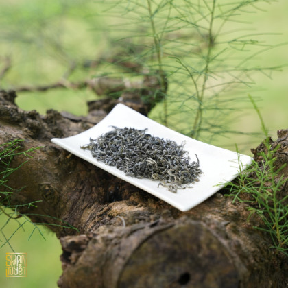 Lục trà Shan tuyết cổ thụ Thác thuý 1 búp 2 lá