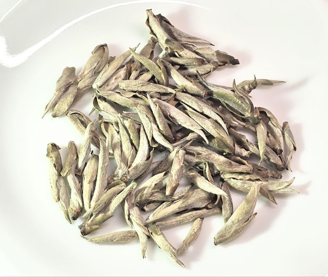 Bạch Trà Tiên - Trà cổ thụ Tây côn lĩnh