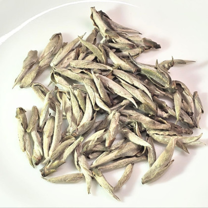Bạch Trà Tiên